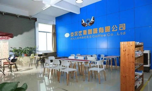 點贊！坦洲一企業入選廣東省工業旅游培育資源庫，文化藝術交流策劃點亮工業新風景